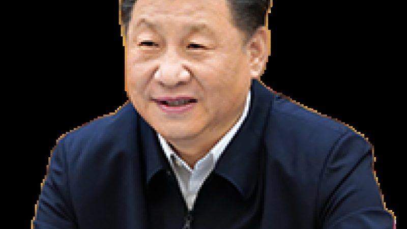 危险化工品仓储运输，流程与标准全解析