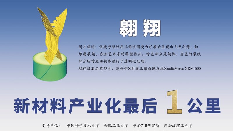 工业添加剂与食品添加剂：批发厂家的选择与考量**