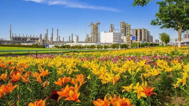 非离子表活定制加工：揭秘定制背后的技术奥秘**